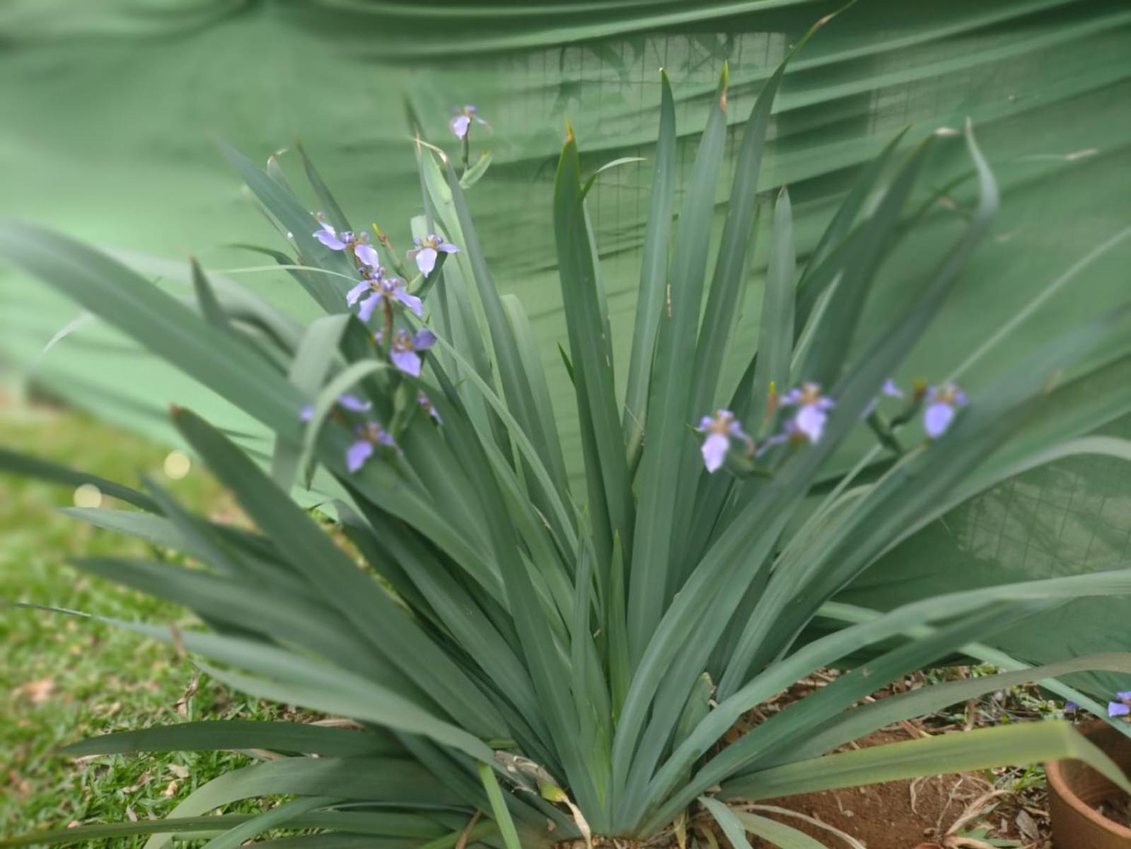 Taubaté Verde Reserva מראה חיצוני תמונה